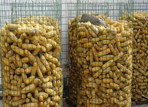 Circle Corn Welded Wire Mesh图片4
